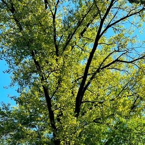 MAKE AN OFFER 😃😁😄😃 we love reasonable offers!!!